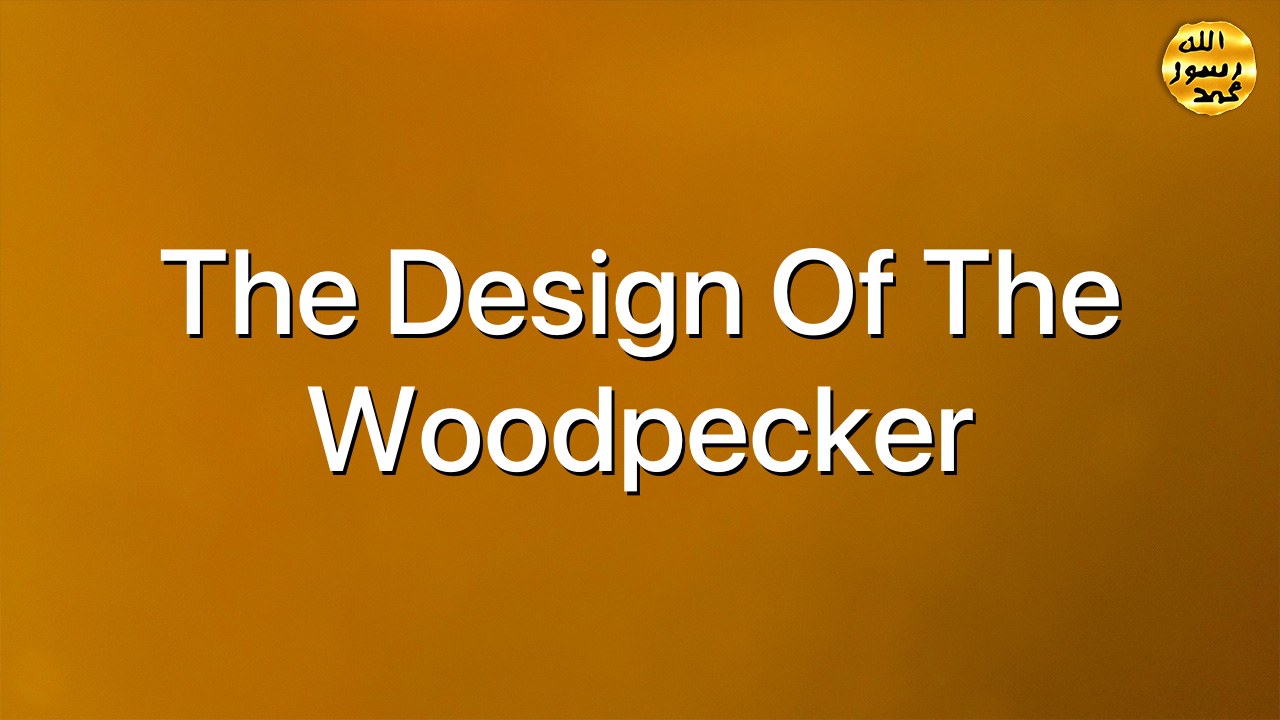 The design of the woodpecker