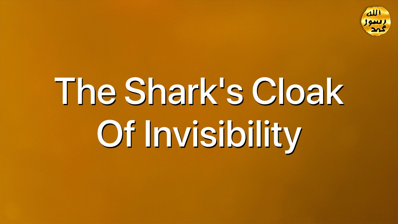 The Shark’s cloak of invisibility