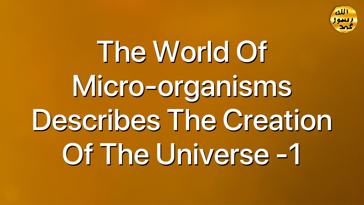 The world of micro-organisms describes the creation of the universe -1