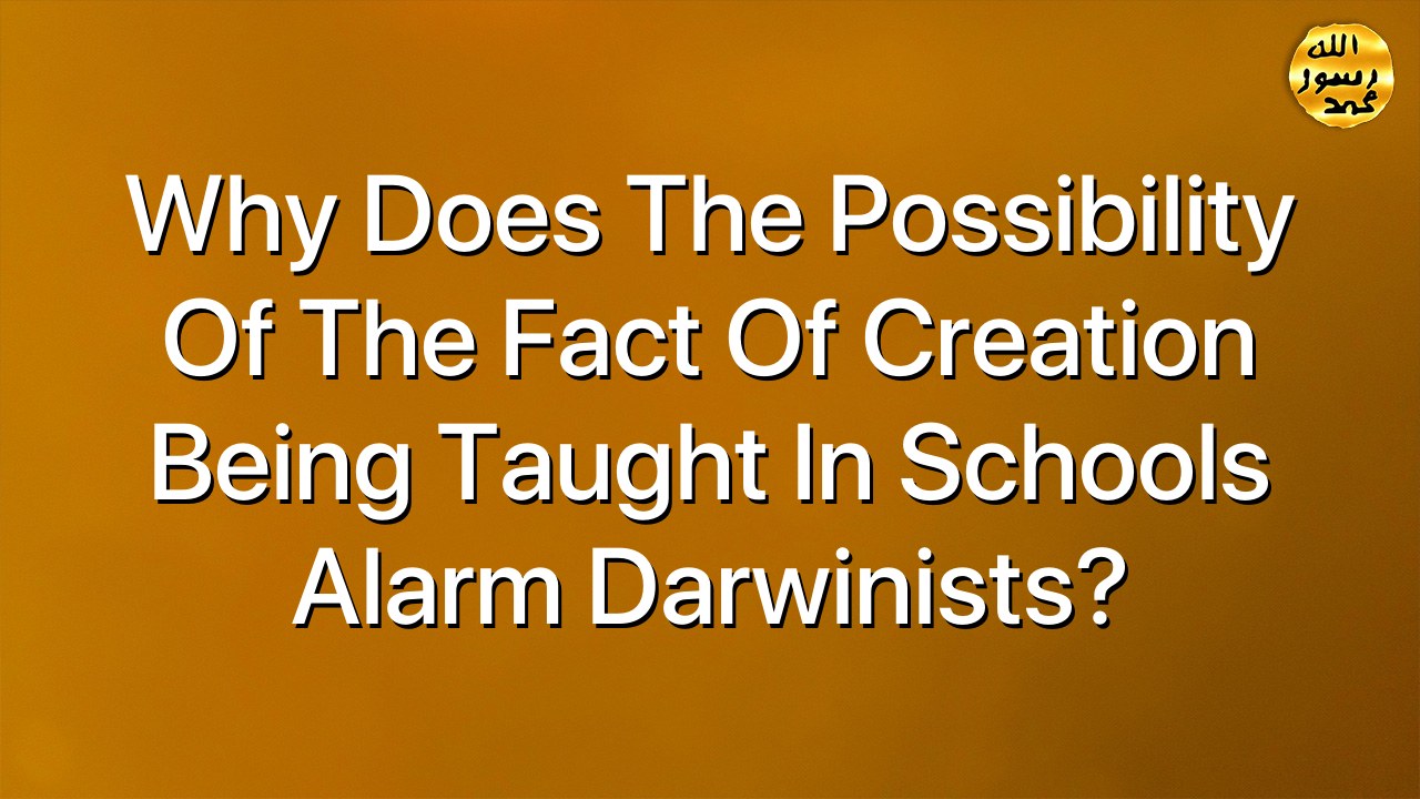 Why does the possibility of the fact of Creation being taught in schools alarm Darwinists?