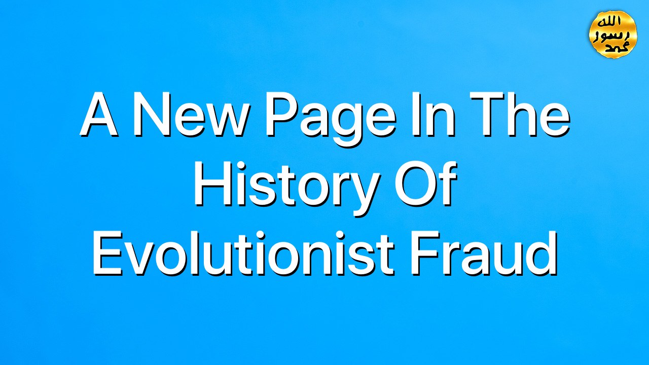 A New Page in the History of Evolutionist Fraud