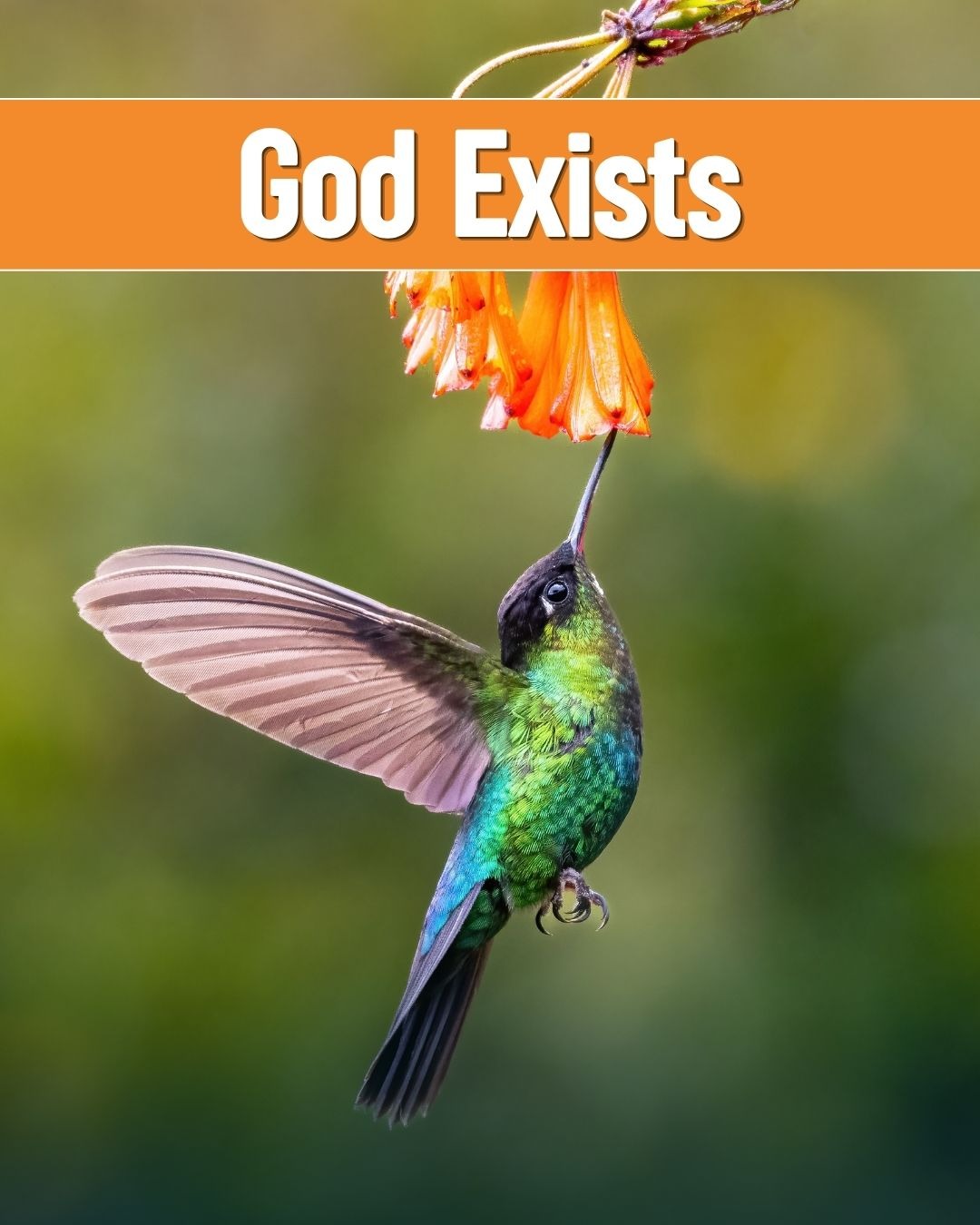 God Exists