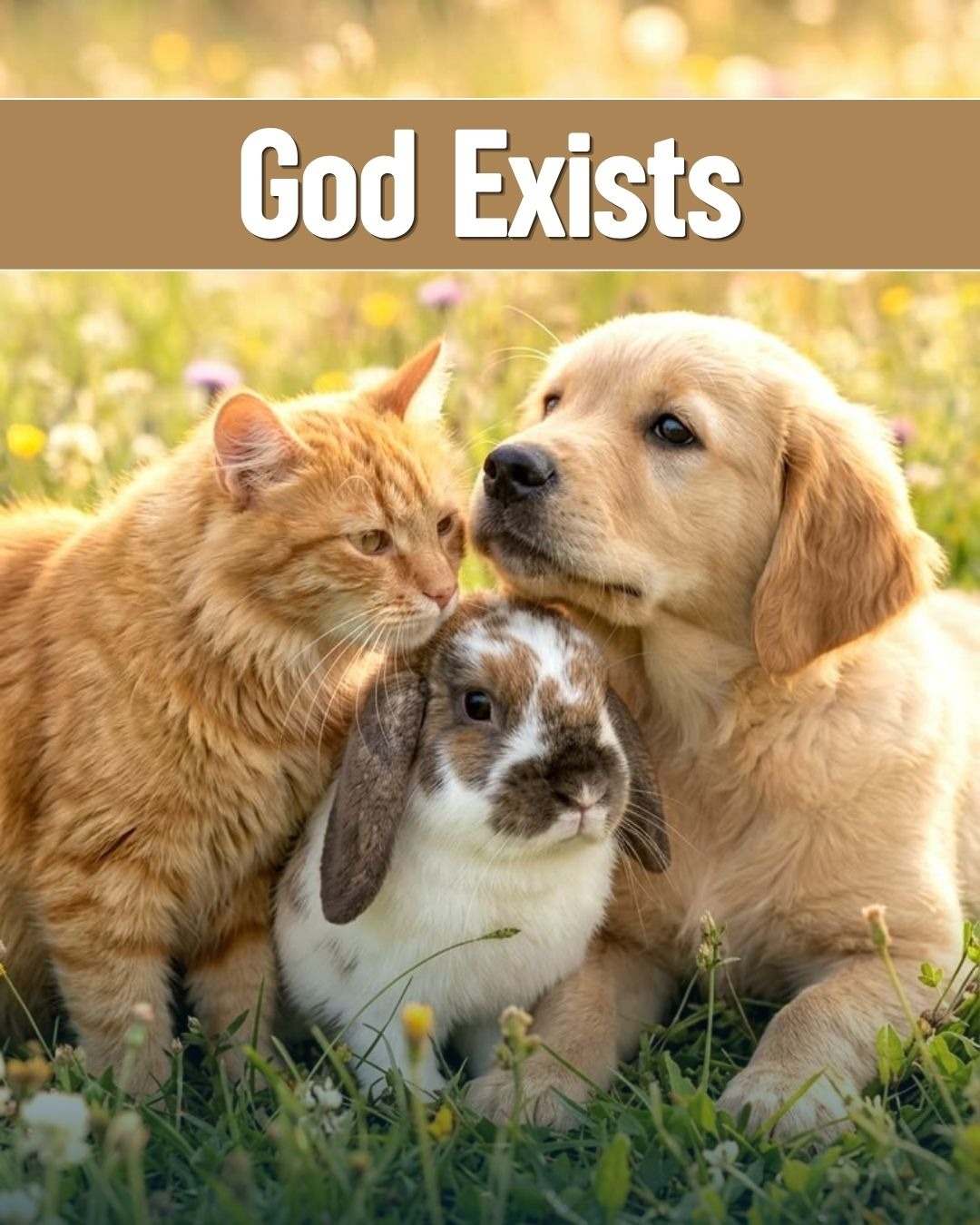God Exists