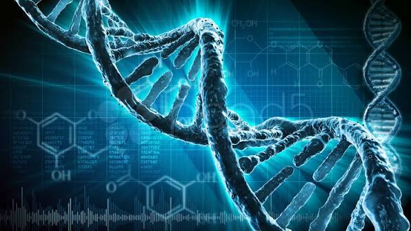 La Complejidad de Las Moléculas de ARN Refuta Las Afirmaciones Evolucionistas