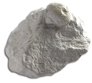 SÜNGER
