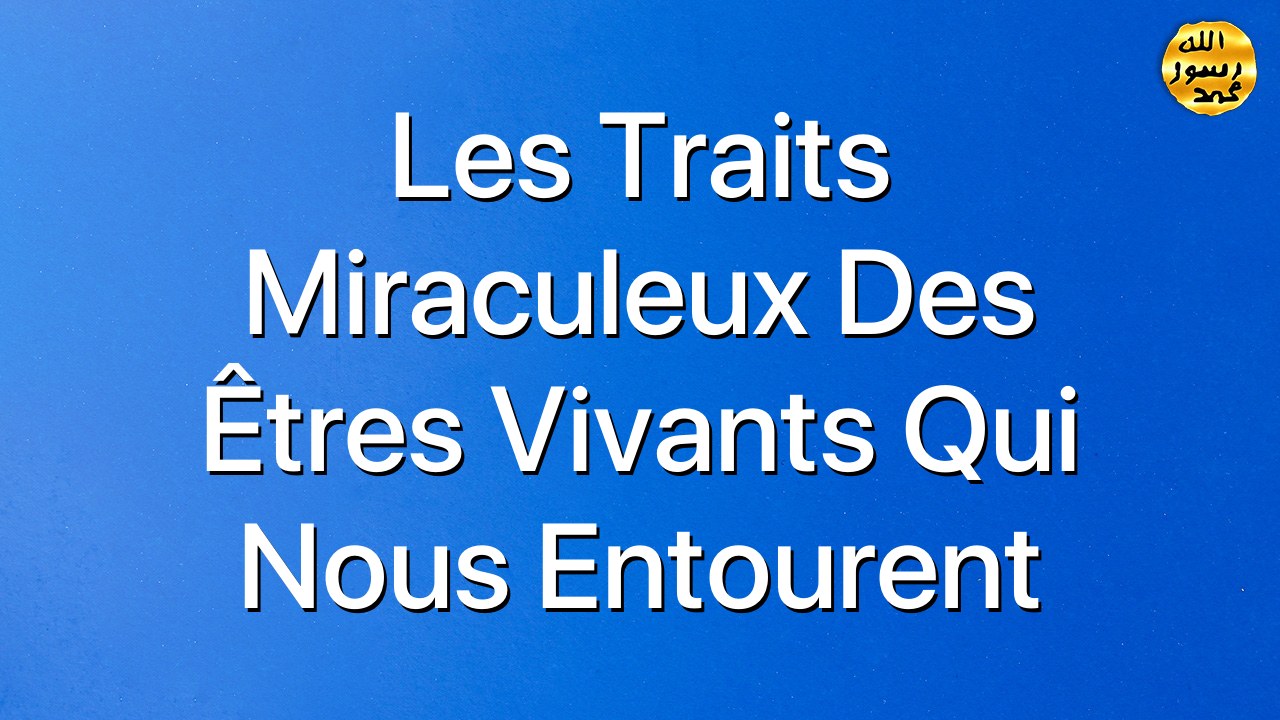 Les traits miraculeux des êtres vivants qui nous entourent