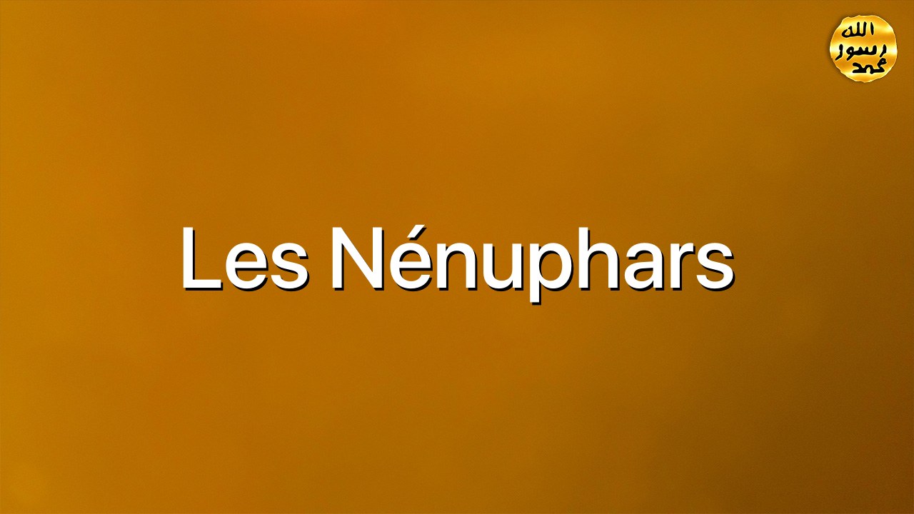 Les nénuphars