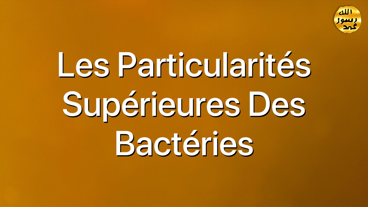 Les particularités supérieures des bactéries