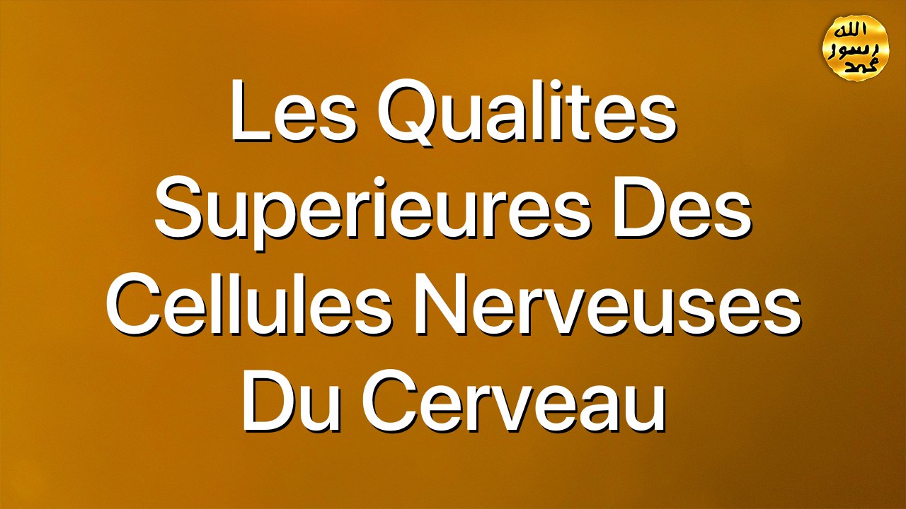 Les qualites superieures des cellules nerveuses du cerveau