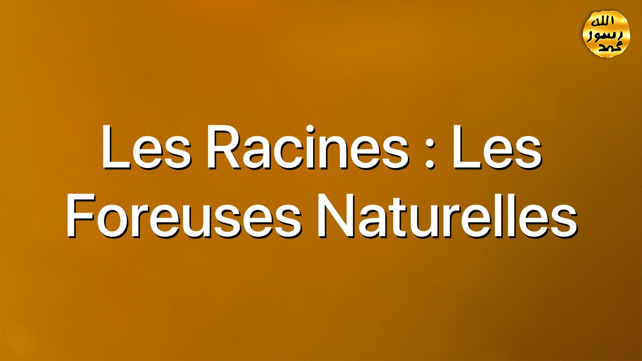 Les racines : les foreuses naturelles