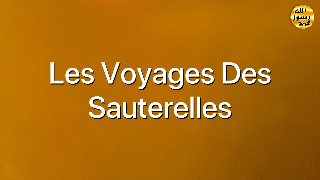 Les voyages des sauterelles