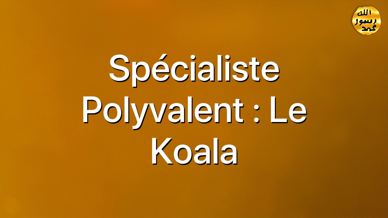 Spécialiste polyvalent : le koala