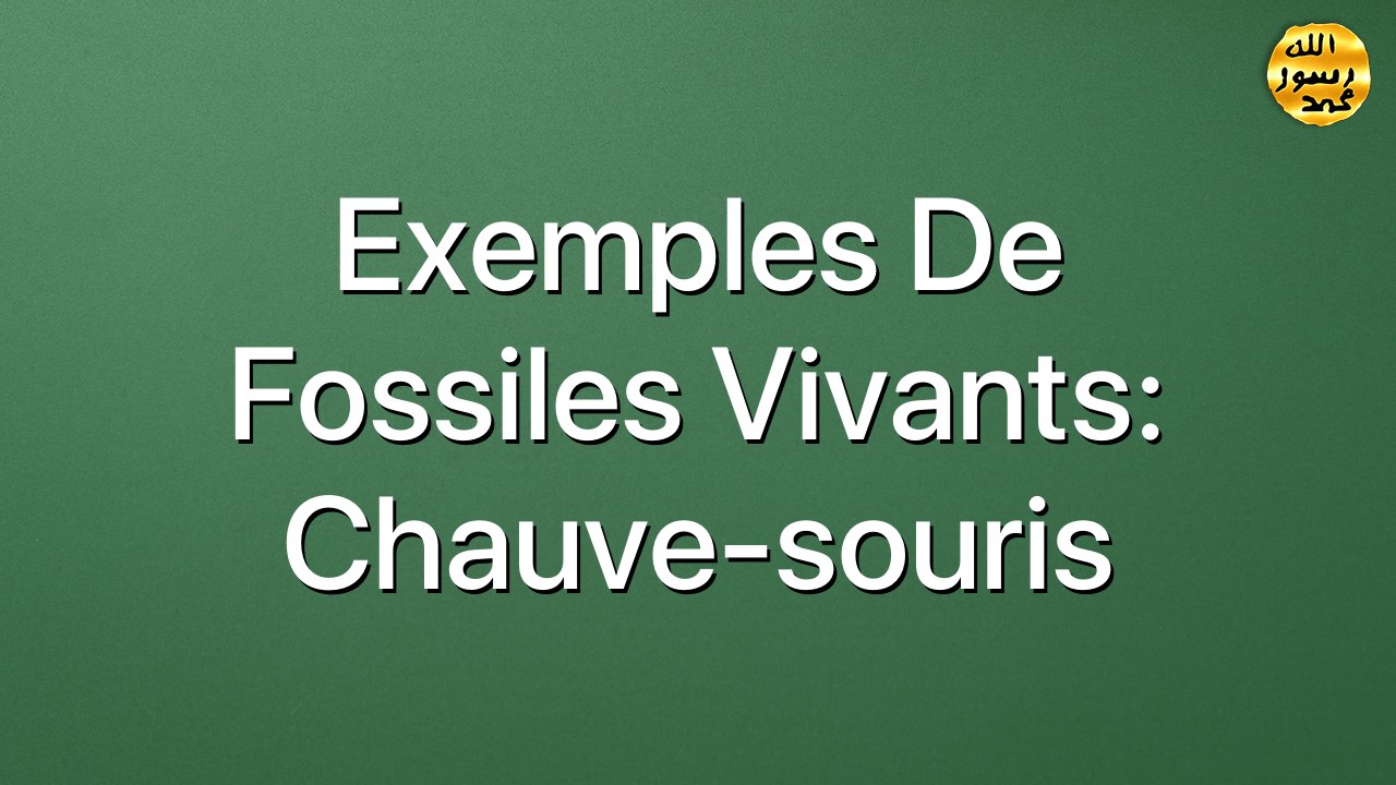 Exemples de fossiles vivants: Chauve-souris