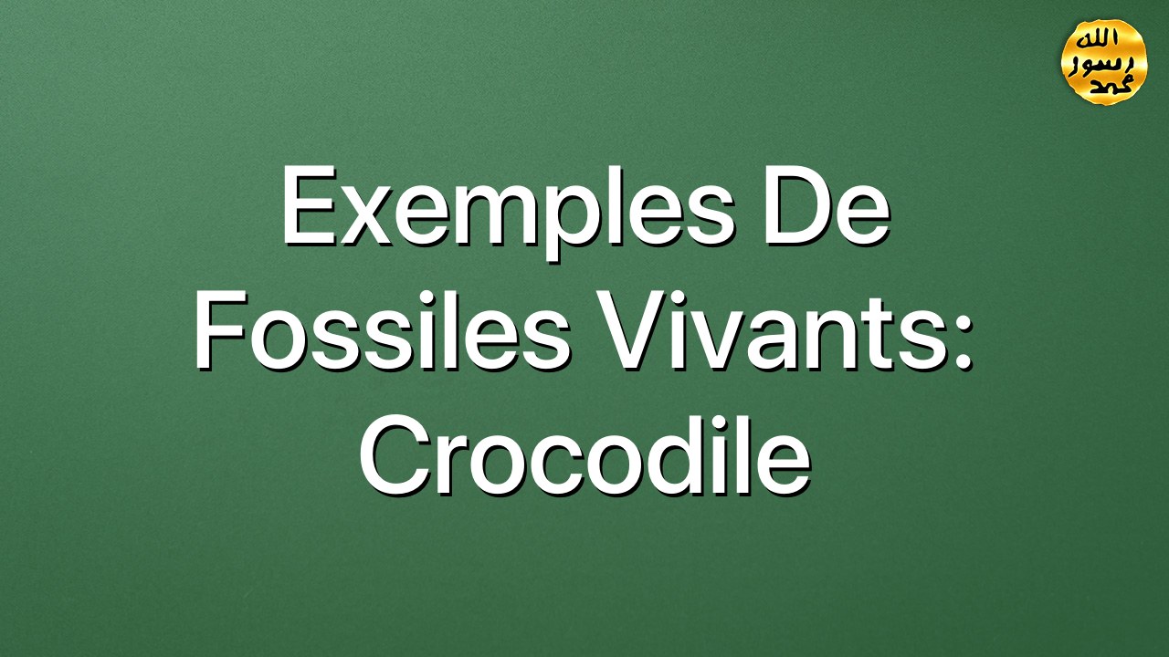 Exemples de fossiles vivants: Crocodile
