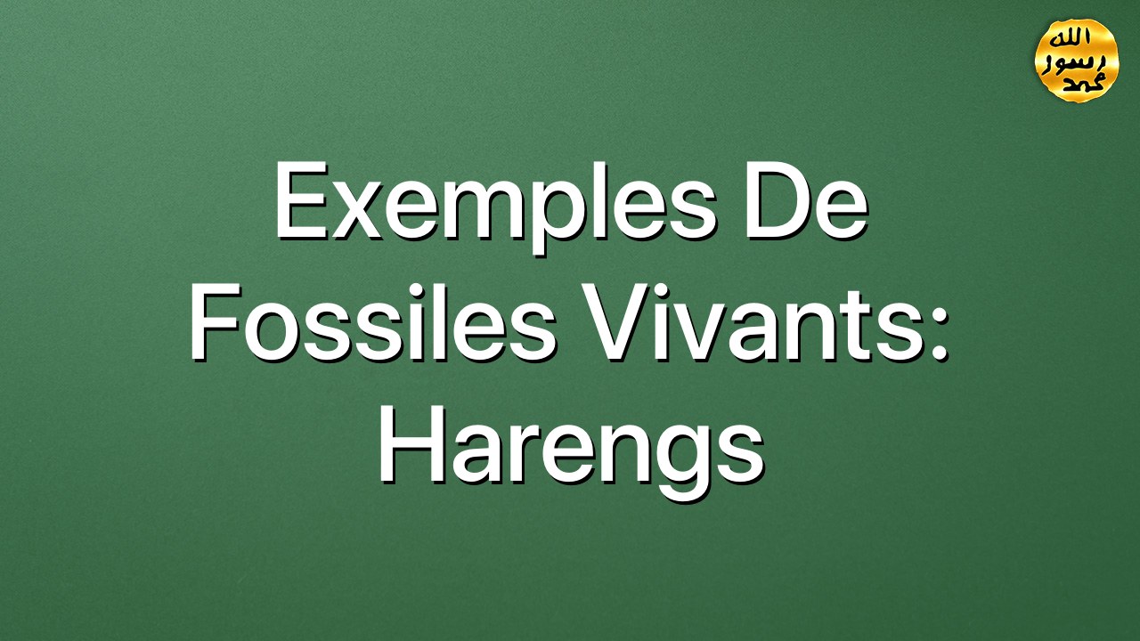 Exemples de fossiles vivants: Harengs