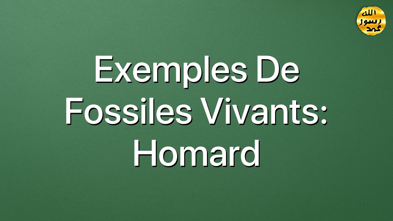 Exemples de fossiles vivants: Homard