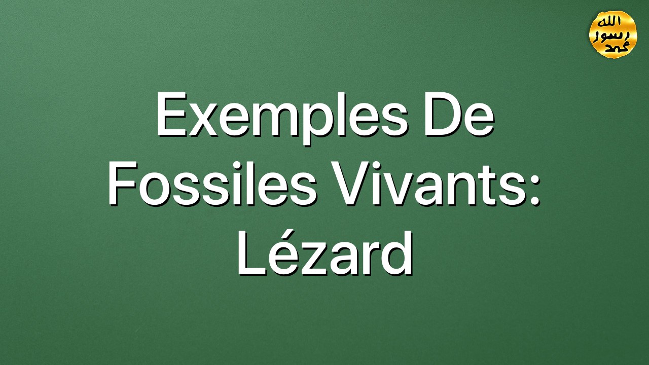 Exemples de fossiles vivants: Lézard