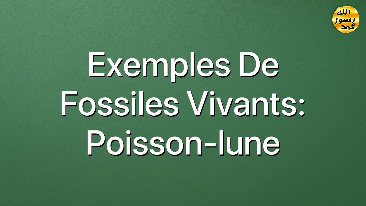 Exemples de fossiles vivants: Poisson-lune