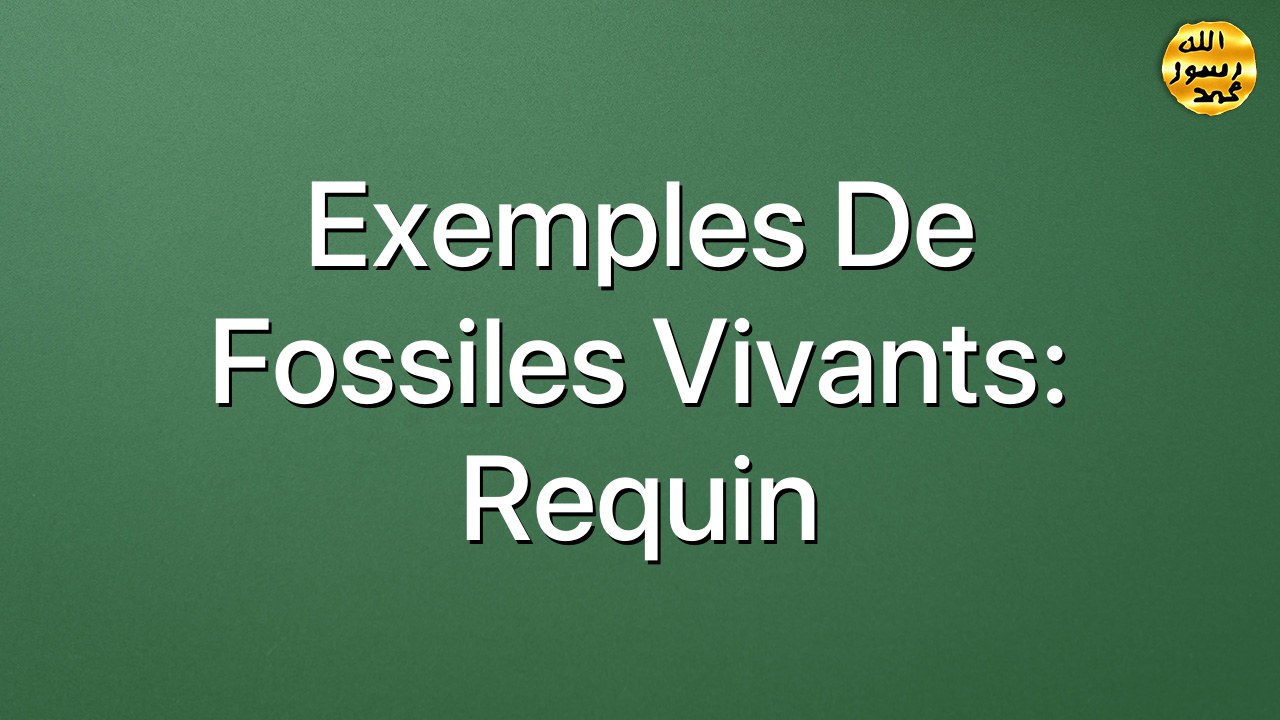 Exemples de fossiles vivants: Requin