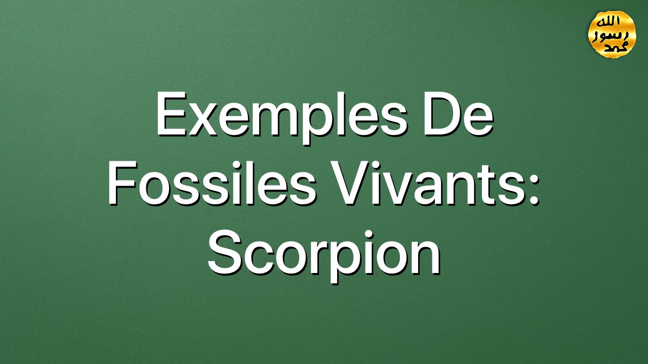 Exemples de fossiles vivants: Scorpion