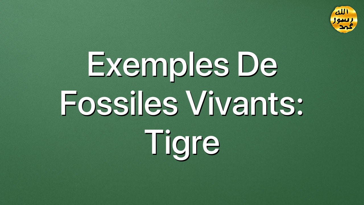 Exemples de fossiles vivants: Tigre