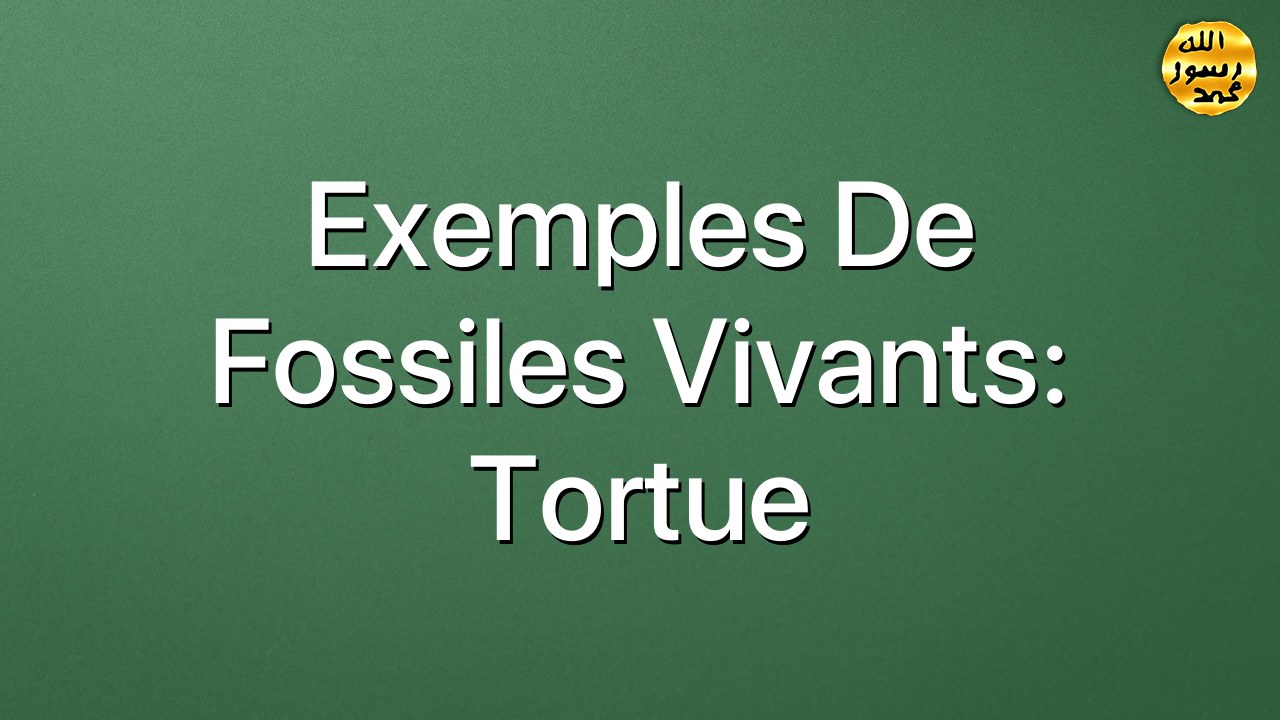 Exemples de fossiles vivants: Tortue
