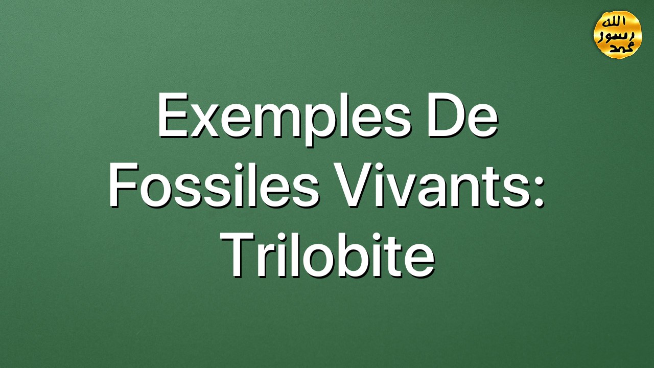 Exemples de fossiles vivants: Trilobite