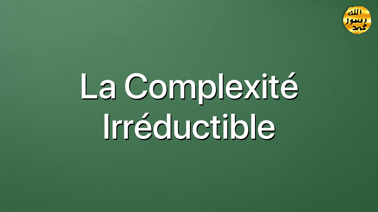 La complexité irréductible