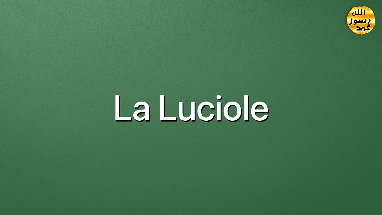 La luciole