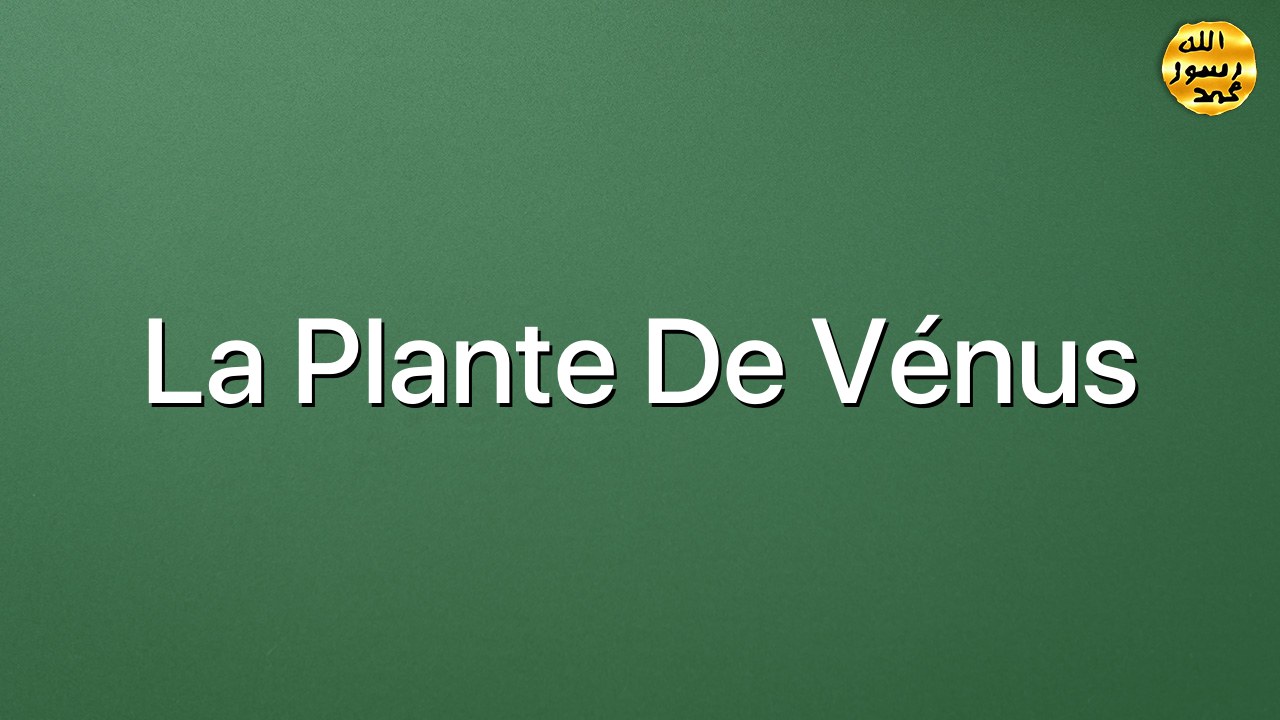 La plante de Vénus