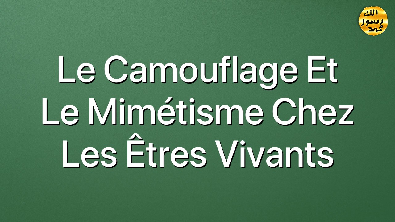 Le camouflage et le mimétisme chez les êtres vivants