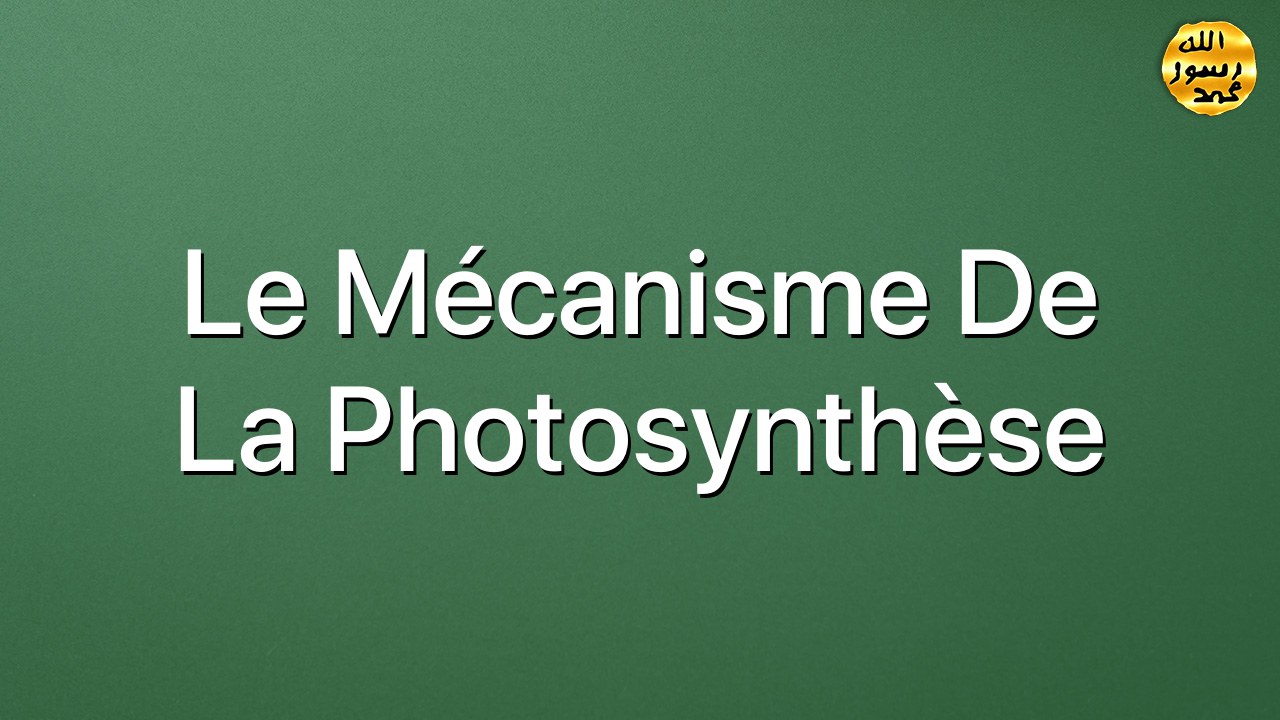 Le mécanisme de la photosynthèse