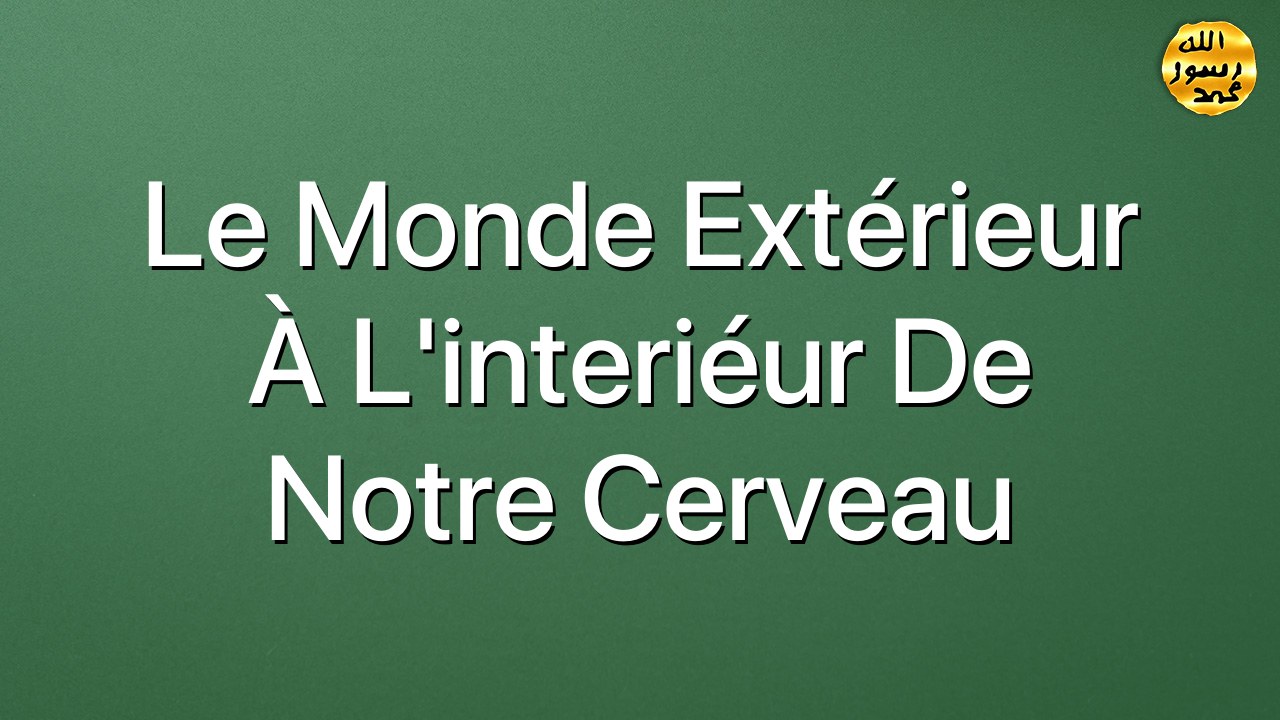Le monde extérieur à l’interiéur de notre cerveau