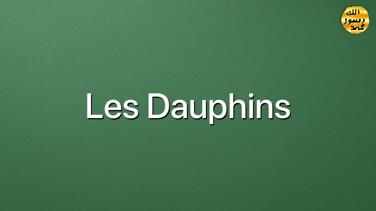 Les dauphins