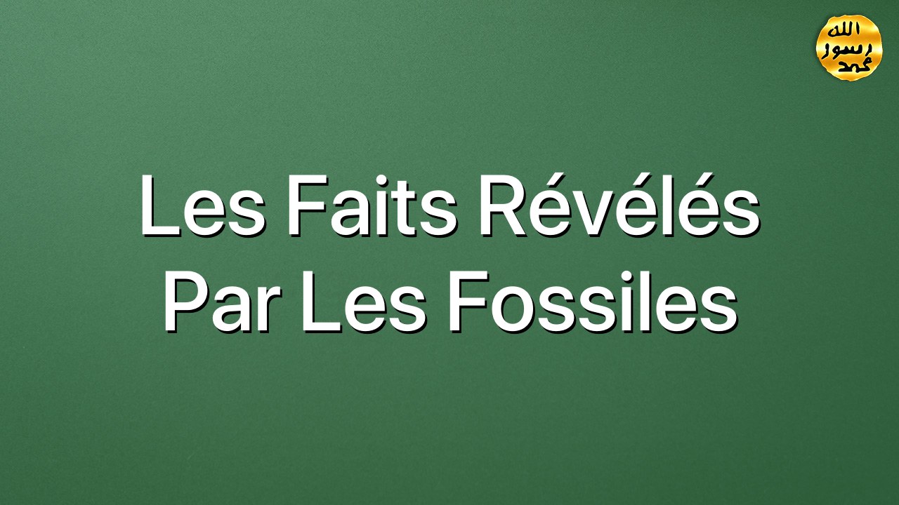Les faits révélés par les fossiles