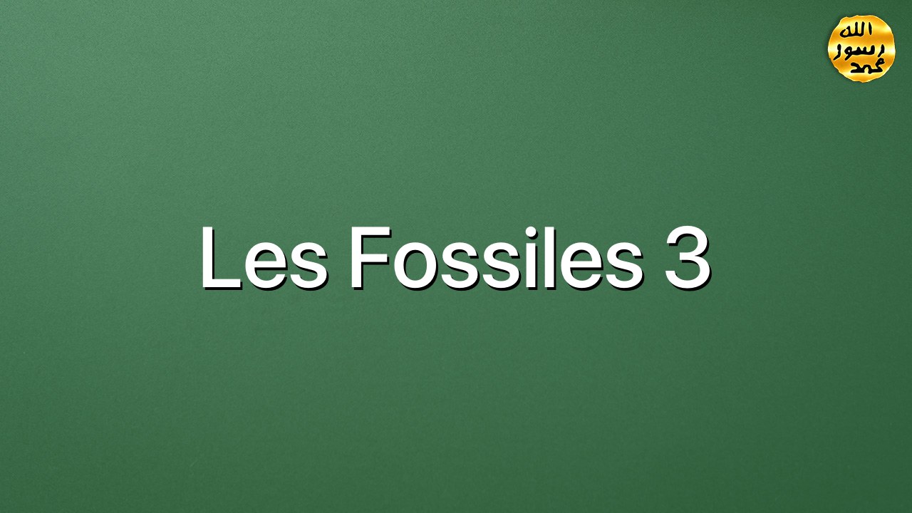 Les fossiles 3