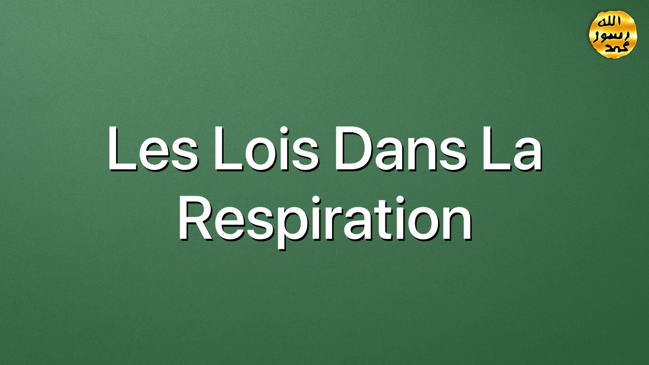Les lois dans la respiration