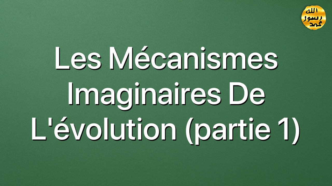 Les mécanismes imaginaires de l'évolution (partie 1)