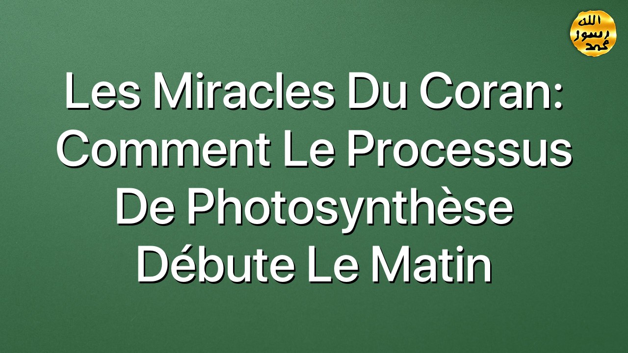 Les miracles du Coran: Comment le processus de photosynthèse débute le matin