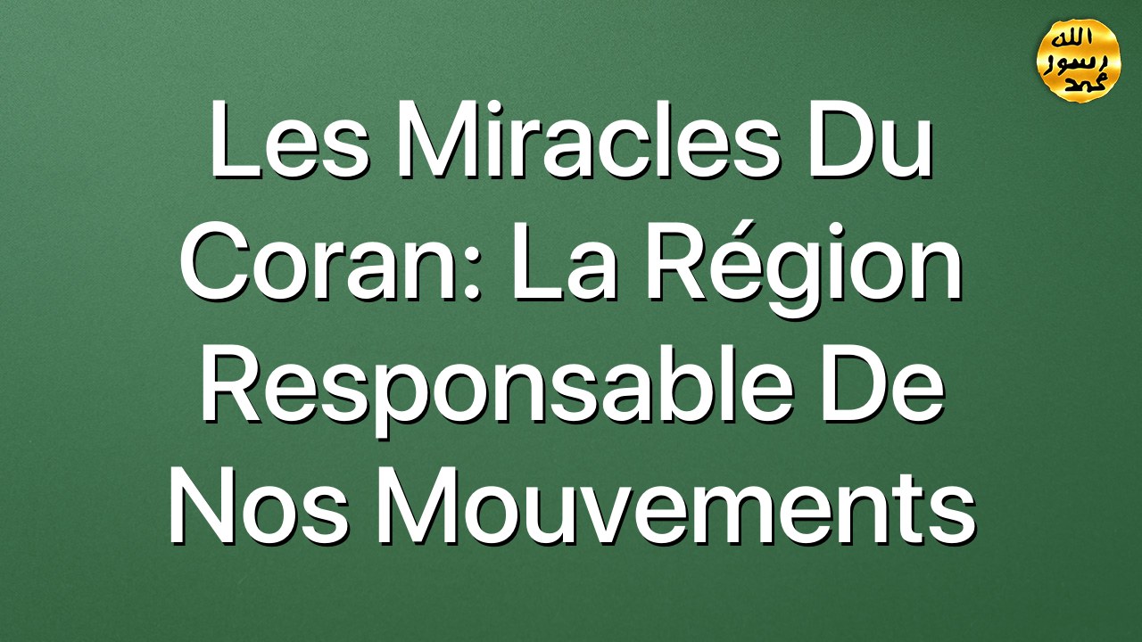 Les miracles du Coran: La région responsable de nos mouvements