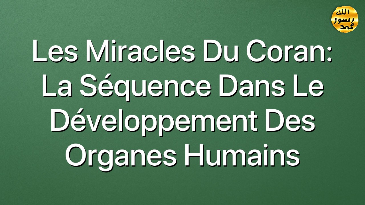 Les miracles du Coran: La séquence dans le développement des organes humains