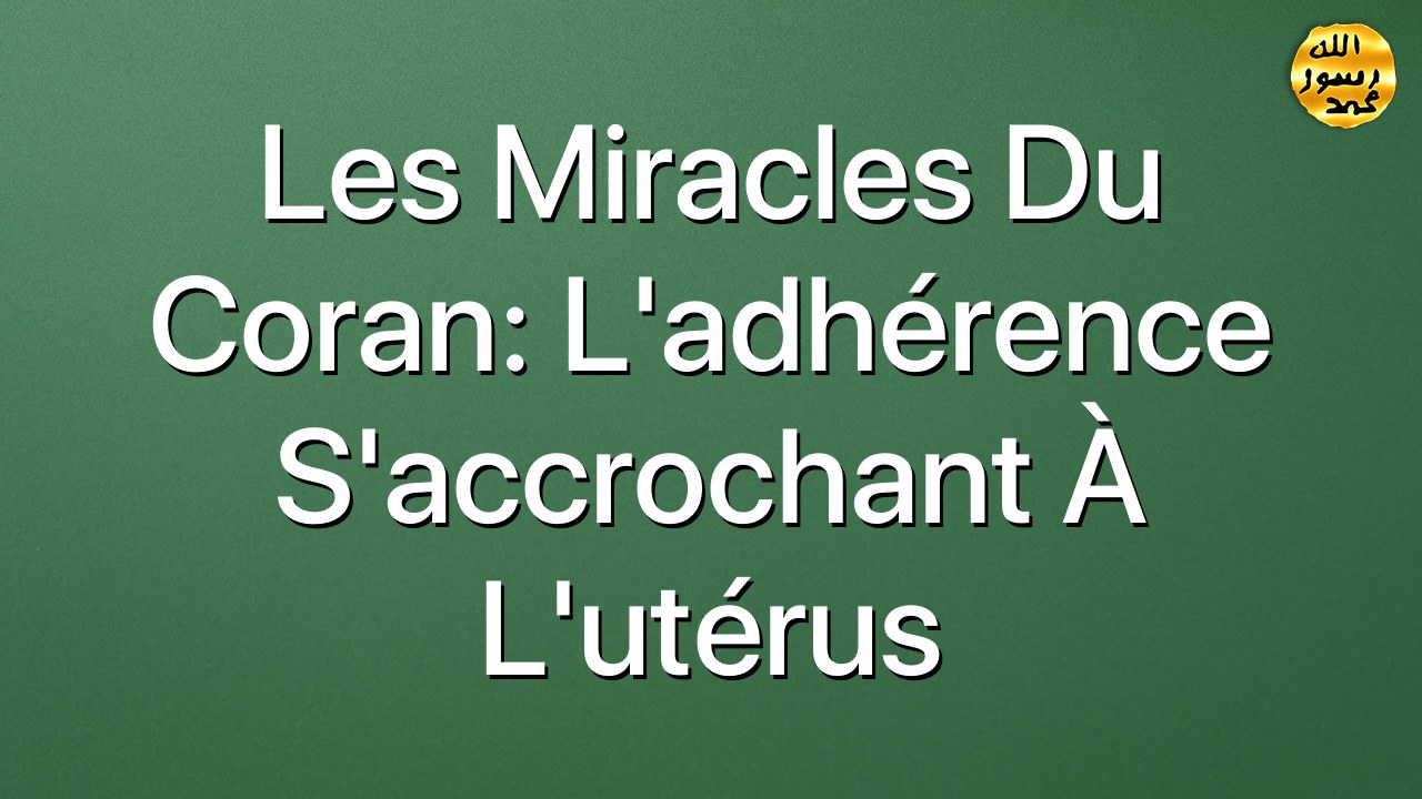 Les miracles du Coran: L'adhérence s'accrochant à l'utérus