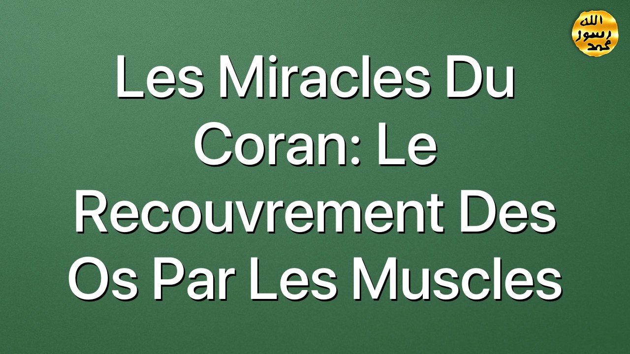 Les miracles du Coran: Le recouvrement des os par les muscles