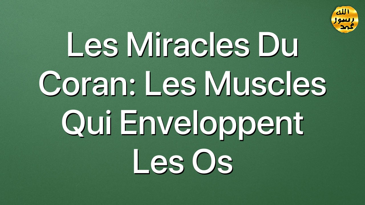 Les miracles du Coran: Les muscles qui enveloppent les os