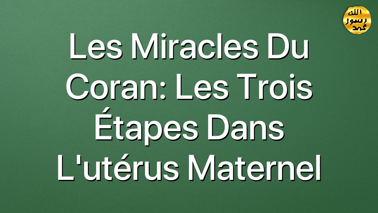 Les miracles du Coran: Les trois étapes dans l'utérus maternel