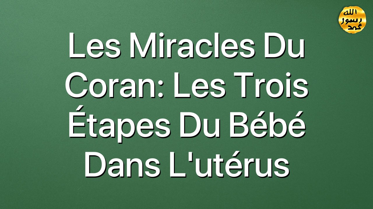 Les miracles du Coran: Les trois étapes du bébé dans l'utérus