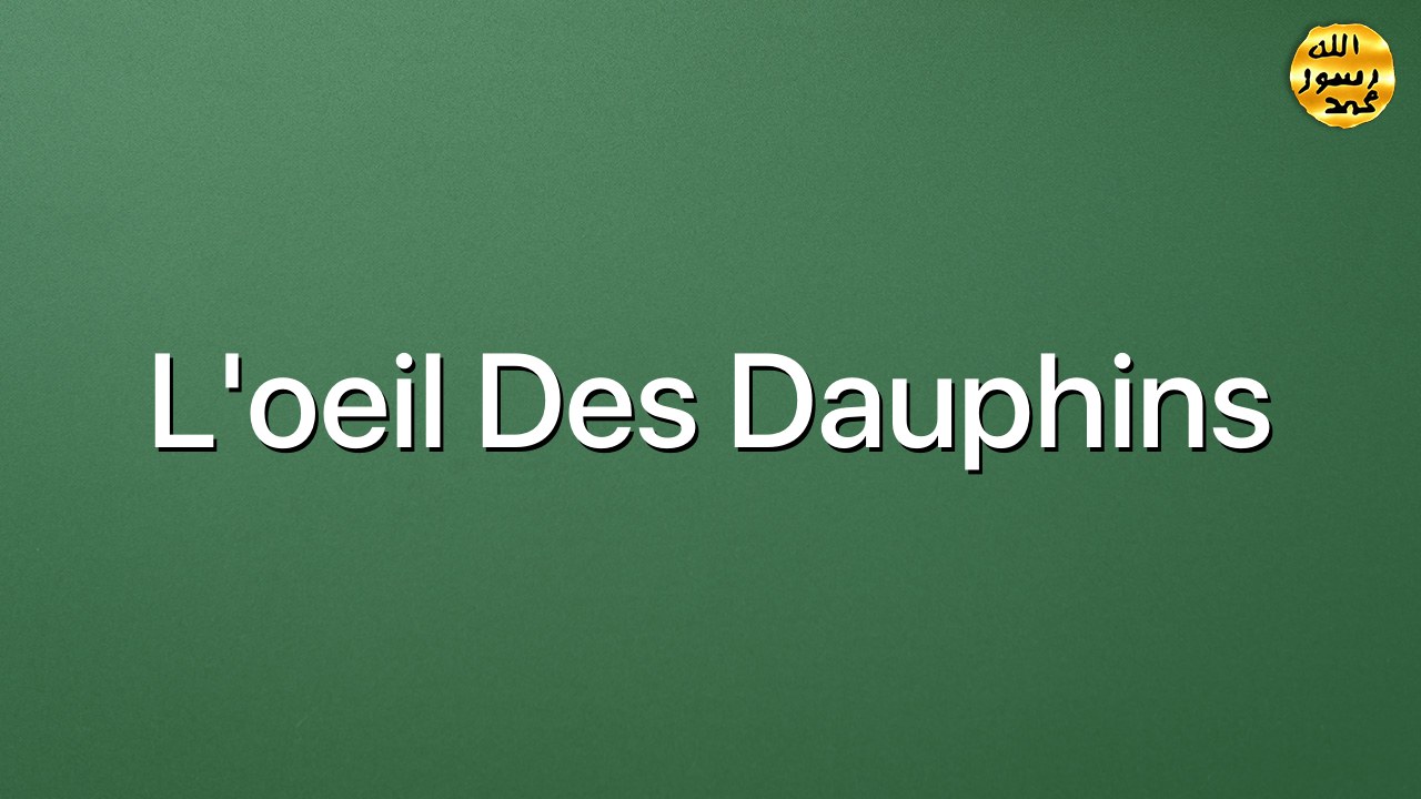 L'oeil des dauphins