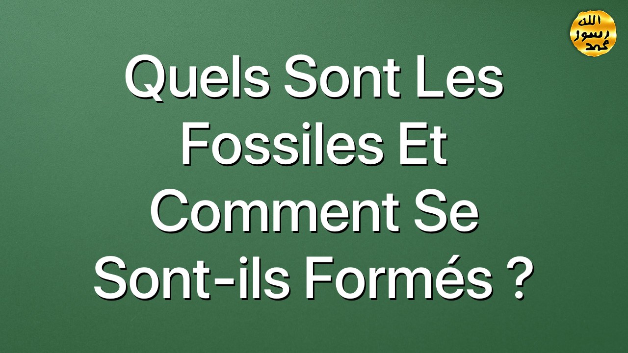 Quels sont les fossiles et comment se sont-ils formés ?