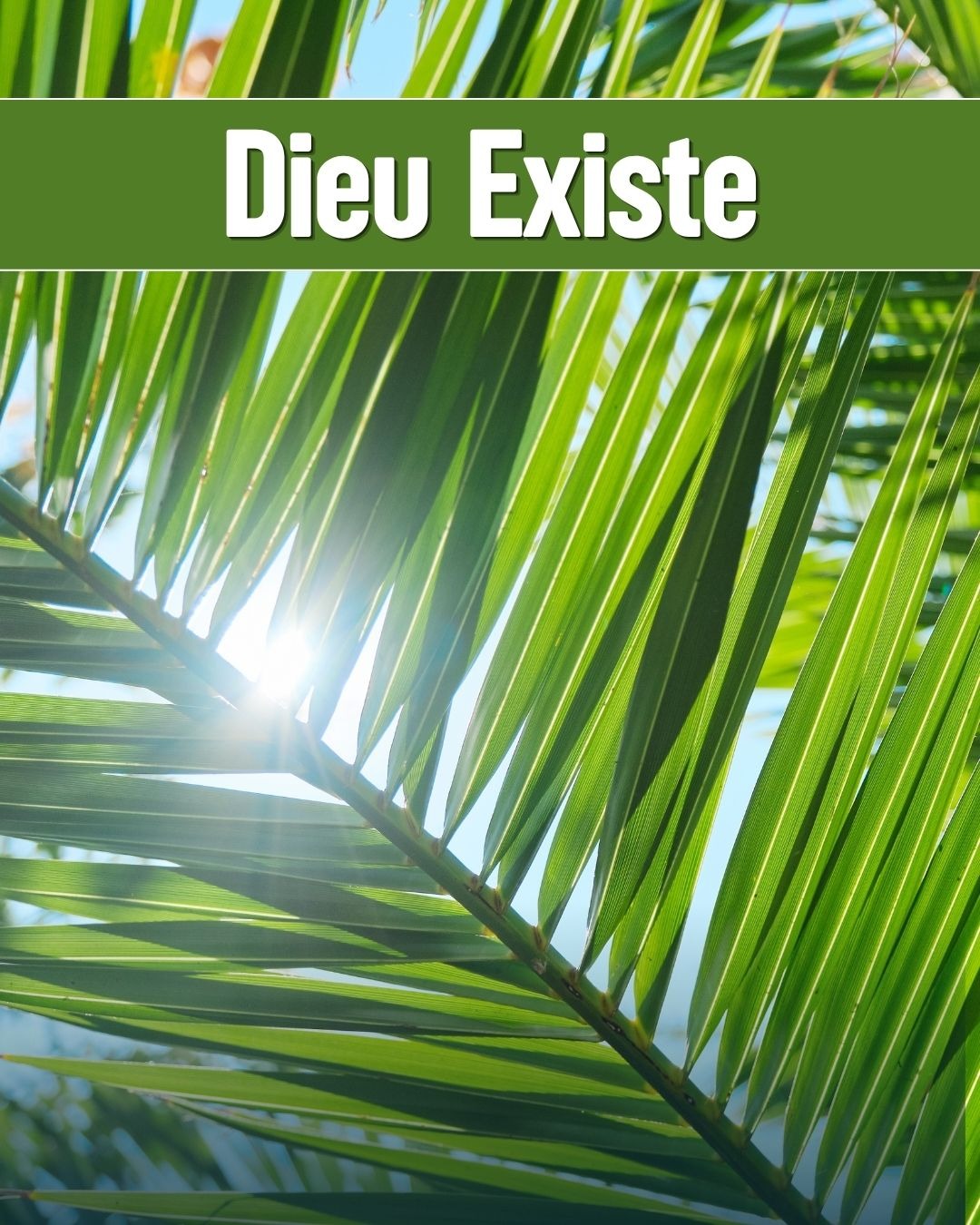 Dieu Existe
