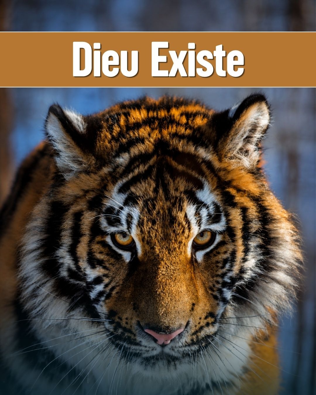 Dieu Existe